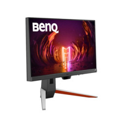 BenQ EX240 écran plat de PC 60,5 cm (23.8") 1920 x 1080 pixels LCD Gris (EX240)