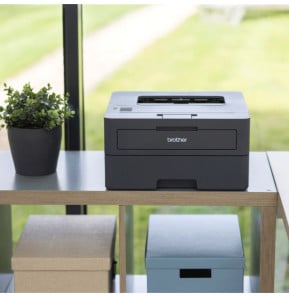 Brother HL-L2447DW imprimante laser 1200 x 1200 DPI A4 Wifi (HL-L2447DW)
