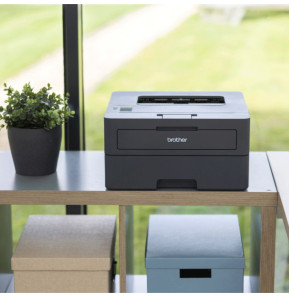 Brother HL-L2445DW imprimante laser 1200 x 1200 DPI A4 Wifi (HL-L2445DW)