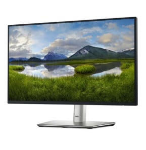 DELL P Series P2225H écran plat de PC 54,6 cm (21.5") 1920 x 1080 pixels Full HD LCD Noir, Argent (P2225H)