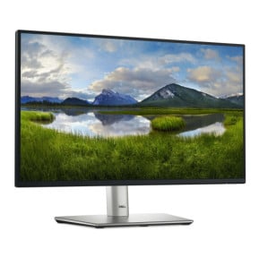 DELL P Series P2225H écran plat de PC 54,6 cm (21.5") 1920 x 1080 pixels Full HD LCD Noir, Argent (P2225H)