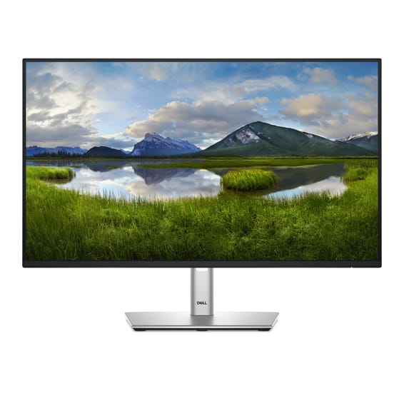 DELL P Series P2425HE écran plat de PC 61 cm (24") 1920 x 1080 pixels Full HD LCD Noir (P2425HE)