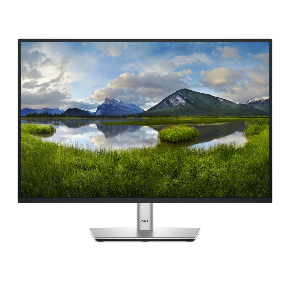 DELL P Series P2425E écran plat de PC 61,1 cm (24.1") 1920 x 1200 pixels WUXGA LCD Noir (DELL-P2425E)