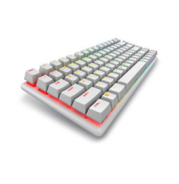 Alienware Pro Wireless Gaming Keyboard clavier USB + RF Wireless + Bluetooth Blanc (PRO-KB-W-WW)