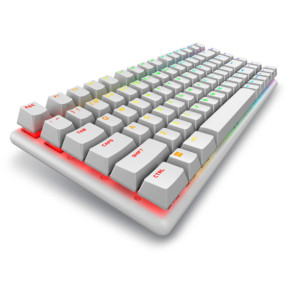Alienware Pro Wireless Gaming Keyboard clavier USB + RF Wireless + Bluetooth Blanc (PRO-KB-W-WW)