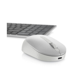 DELL Souris sans fil rechargeable Premier - MS7421W (MS7421W-SLV-NA)