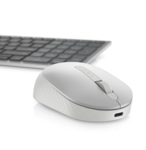 DELL Souris sans fil rechargeable Premier - MS7421W (MS7421W-SLV-NA)