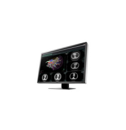 EIZO RadiForce RX660 LED display 76,2 cm (30") 3280 x 2048 pixels WQSXGA Noir, Blanc (RX660-BK)