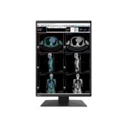 EIZO RadiForce RX370 écran plat de PC 54,1 cm (21.3") 1536 x 2048 pixels LCD Noir (RX370)