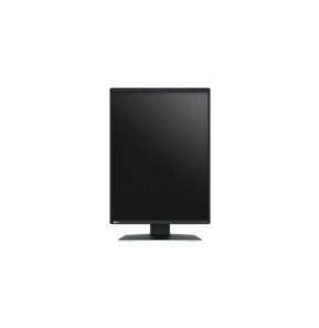 EIZO RadiForce RX370 écran plat de PC 54,1 cm (21.3") 1536 x 2048 pixels LCD Noir (RX370)