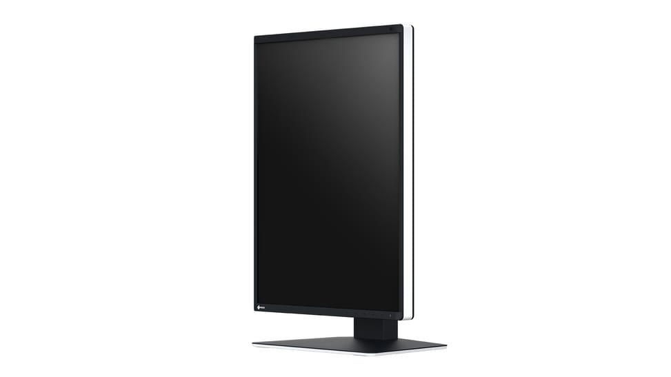EIZO RadiForce RX370 écran plat de PC 54,1 cm (21.3") 1536 x 2048 pixels LCD Noir (RX370) — image 4
