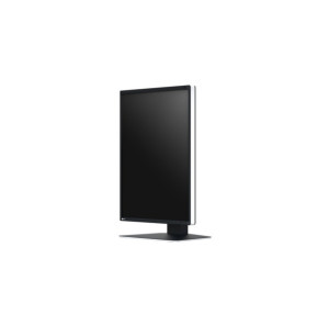 EIZO RadiForce RX370 écran plat de PC 54,1 cm (21.3") 1536 x 2048 pixels LCD Noir (RX370)