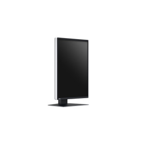 EIZO RadiForce RX370 écran plat de PC 54,1 cm (21.3") 1536 x 2048 pixels LCD Noir (RX370)