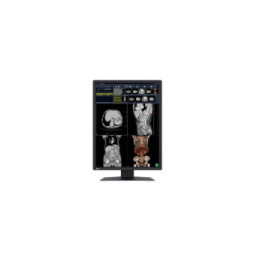 EIZO RadiForce RX270 écran plat de PC 54,1 cm (21.3") 1200 x 1600 pixels UXGA LCD Noir, Blanc (RX270)