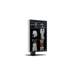 EIZO RadiForce RX270 écran plat de PC 54,1 cm (21.3") 1200 x 1600 pixels UXGA LCD Noir, Blanc (RX270)