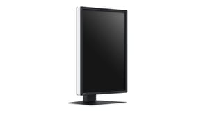 EIZO RadiForce RX270 écran plat de PC 54,1 cm (21.3") 1200 x 1600 pixels UXGA LCD Noir, Blanc (RX270) — image 4