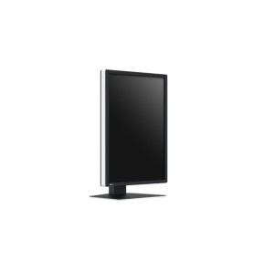 EIZO RadiForce RX270 écran plat de PC 54,1 cm (21.3") 1200 x 1600 pixels UXGA LCD Noir, Blanc (RX270)