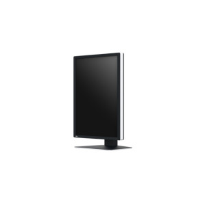 EIZO RadiForce RX270 écran plat de PC 54,1 cm (21.3") 1200 x 1600 pixels UXGA LCD Noir, Blanc (RX270)