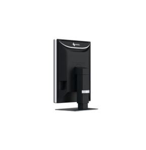 EIZO RadiForce RX270 écran plat de PC 54,1 cm (21.3") 1200 x 1600 pixels UXGA LCD Noir, Blanc (RX270)
