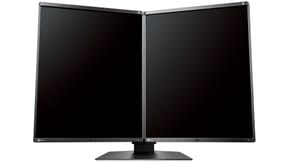 EIZO RadiForce RX560-MD écran plat de PC 54,1 cm (21.3") 2048 x 2560 pixels LCD Noir (RX560-MD) — image 2