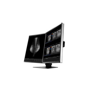 EIZO RadiForce RX560-MD écran plat de PC 54,1 cm (21.3") 2048 x 2560 pixels LCD Noir (RX560-MD)