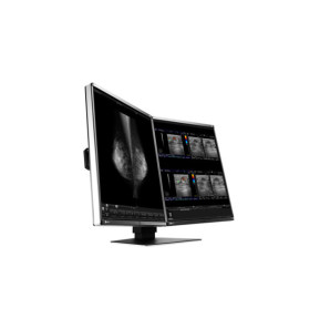EIZO RadiForce RX560-MD écran plat de PC 54,1 cm (21.3") 2048 x 2560 pixels LCD Noir (RX560-MD)