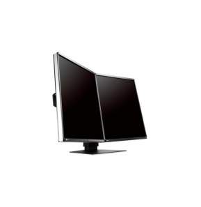 EIZO RadiForce RX560-MD écran plat de PC 54,1 cm (21.3") 2048 x 2560 pixels LCD Noir (RX560-MD)