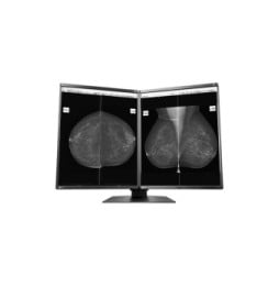 EIZO RadiForce GX560-MD écran plat de PC 54,1 cm (21.3") 2048 x 2560 pixels LCD Noir (GX560MD)
