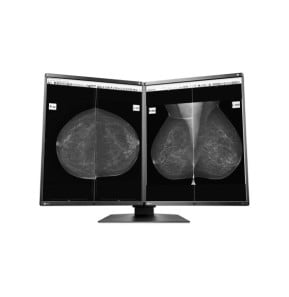 EIZO RadiForce GX560-MD écran plat de PC 54,1 cm (21.3") 2048 x 2560 pixels LCD Noir (GX560MD)