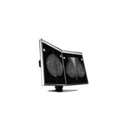 EIZO RadiForce GX560-MD écran plat de PC 54,1 cm (21.3") 2048 x 2560 pixels LCD Noir (GX560MD)