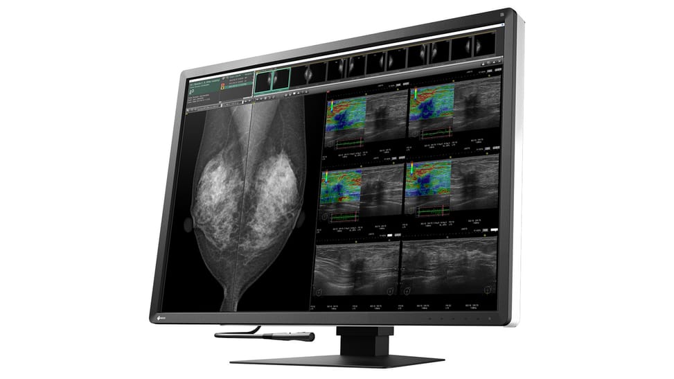 EIZO RadiForce RX1270 écran plat de PC 78,7 cm (31") 4200 x 2800 pixels LCD Noir, Blanc (RX1270) — image 3
