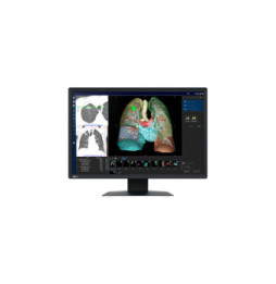 EIZO RadiForce MX243W écran plat de PC 61,2 cm (24.1") 1920 x 1200 pixels WUXGA LCD Noir (MX243W)
