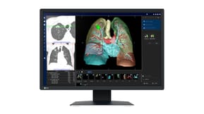 EIZO RadiForce MX243W écran plat de PC 61,2 cm (24.1") 1920 x 1200 pixels WUXGA LCD Noir (MX243W)