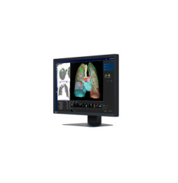 EIZO RadiForce MX243W écran plat de PC 61,2 cm (24.1") 1920 x 1200 pixels WUXGA LCD Noir (MX243W)