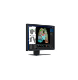 EIZO RadiForce MX243W écran plat de PC 61,2 cm (24.1") 1920 x 1200 pixels WUXGA LCD Noir (MX243W)