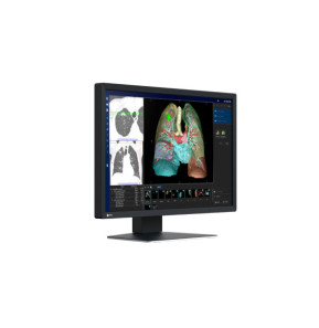 EIZO RadiForce MX243W écran plat de PC 61,2 cm (24.1") 1920 x 1200 pixels WUXGA LCD Noir (MX243W)