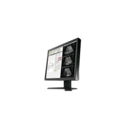 EIZO RadiForce MX194 LED display 48,3 cm (19") 1280 x 1024 pixels LCD Noir (MX194-BK)