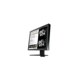 EIZO RadiForce MX194 LED display 48,3 cm (19") 1280 x 1024 pixels LCD Noir (MX194-BK)