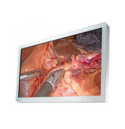 EIZO EX3220 écran plat de PC 80 cm (31.5") 1920 x 1080 pixels Full HD LED Blanc (EX3220)