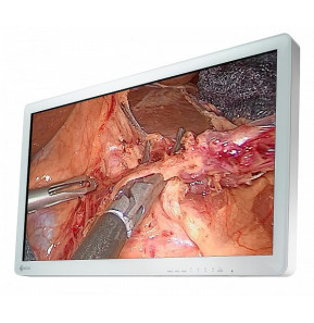 EIZO EX3220 écran plat de PC 80 cm (31.5") 1920 x 1080 pixels Full HD LED Blanc (EX3220)
