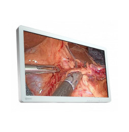 EIZO EX3220 écran plat de PC 80 cm (31.5") 1920 x 1080 pixels Full HD LED Blanc (EX3220)