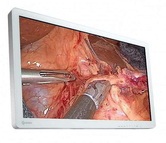 EIZO EX3220 écran plat de PC 80 cm (31.5") 1920 x 1080 pixels Full HD LED Blanc (EX3220) — image 5