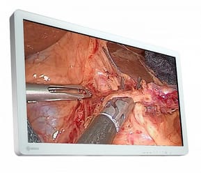 EIZO EX3220 écran plat de PC 80 cm (31.5") 1920 x 1080 pixels Full HD LED Blanc (EX3220) — image 5