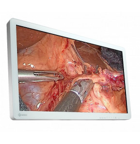 EIZO EX3220 écran plat de PC 80 cm (31.5") 1920 x 1080 pixels Full HD LED Blanc (EX3220)