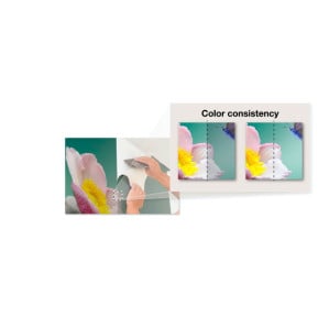 Epson SureColor SC-R5000L SureColor SC-R5000L  (C11CH29301A0)