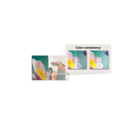 Epson SureColor SC-R5000 SureColor SC-R5000  (C11CH28301A0)