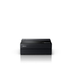 Epson SureColor SC-P700 SureColor SC-P700  (C11CH38401)