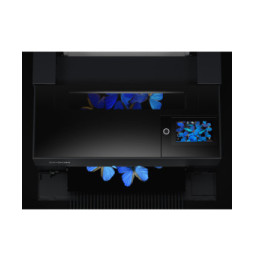 Epson SureColor SC-P700 SureColor SC-P700  (C11CH38401)