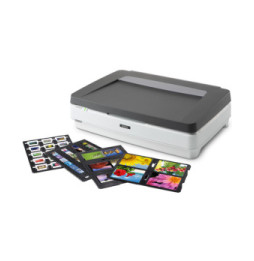 Epson Expression 13000XL Pro Numérisation à plat 2400 x 4800 DPI A3 Gris, Blanc (B11B257401BT)