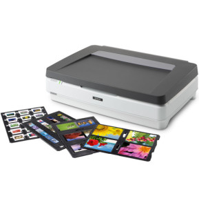 Epson Expression 13000XL Pro Numérisation à plat 2400 x 4800 DPI A3 Gris, Blanc (B11B257401BT)
